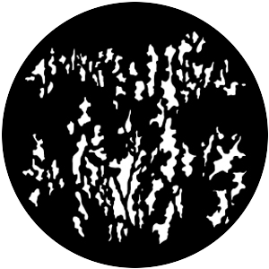 Foliage Breakup 1