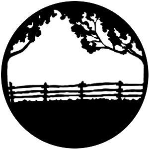 Split Rail Fence