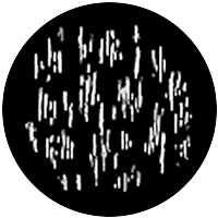 Linear 1