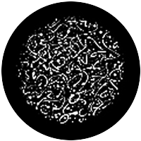 Conception