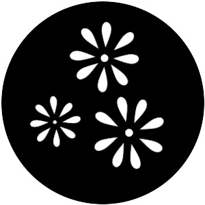 Daisy Pattern