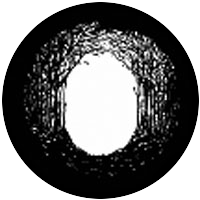 Winter Glade