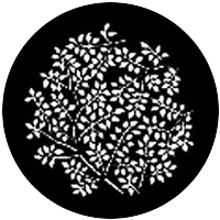 Branching Leaves (Negative)