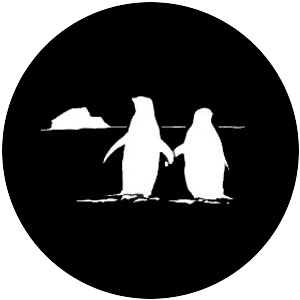 Penguins
