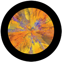 Klee Motif