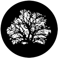 Tree 3