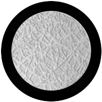 Frost
