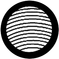 Organic 16