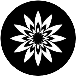 Petal Explosion