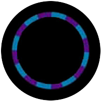 Purple/Teal Color Swirl