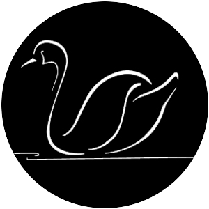 Swan