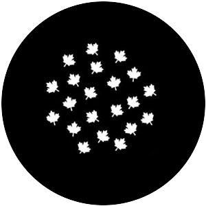 Maple Leaf Breakup Small