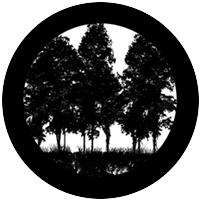Tree Silhouette 2
