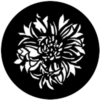 Bloomin Flowers