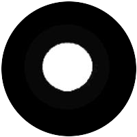 Pin Spot B (1")
