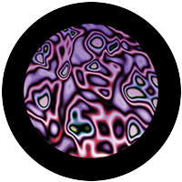 Lavender Artifacts