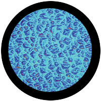Cyan Sparkelite