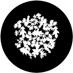 Oak Leaf Breakup
