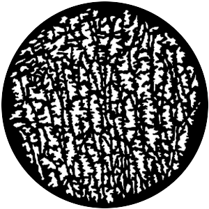 Brambles