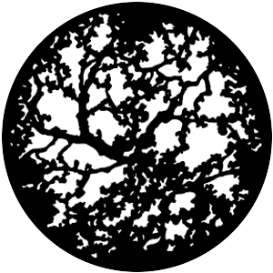Twisting Branches