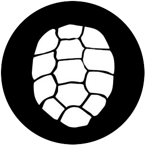 Turtle Shell