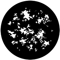 Dapple (Medium)