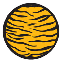 2 Color Tiger Print