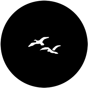 Fairytale Birds