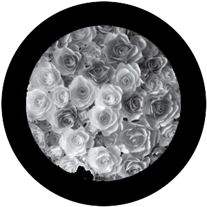 Rose Bouquet