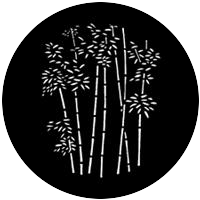 Thin Bamboo
