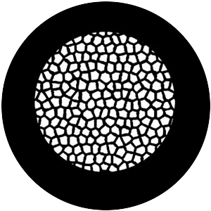 Reptilian Skin