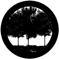 Tree Silhouette 1