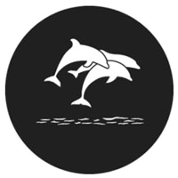 Dolphins