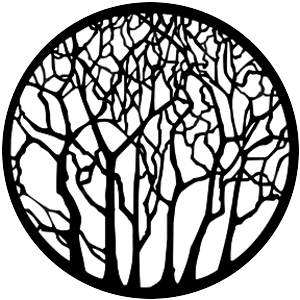 Bare Trees
