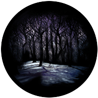 Grimm's Woods