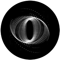 Twisted Particles 2