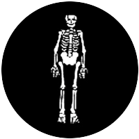 Skeleton