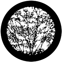 Leafy Branches 1