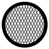 Fish Scales