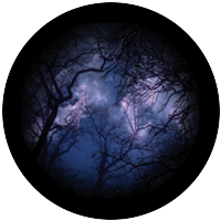 Cloud Branches 2