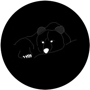 Grizzly Bear
