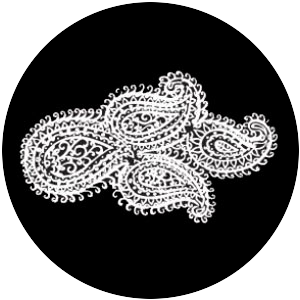 Paisley 15