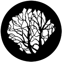 Tree 6