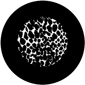 Leopard Print