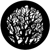 Tree 4