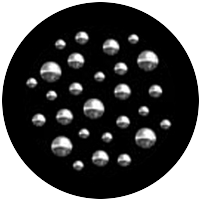 Colony