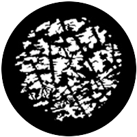Pine Branches