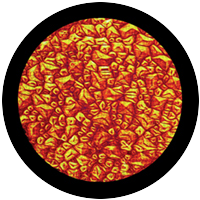 Red Sparkelite