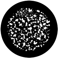 Sponge Texture