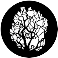 Tree 5